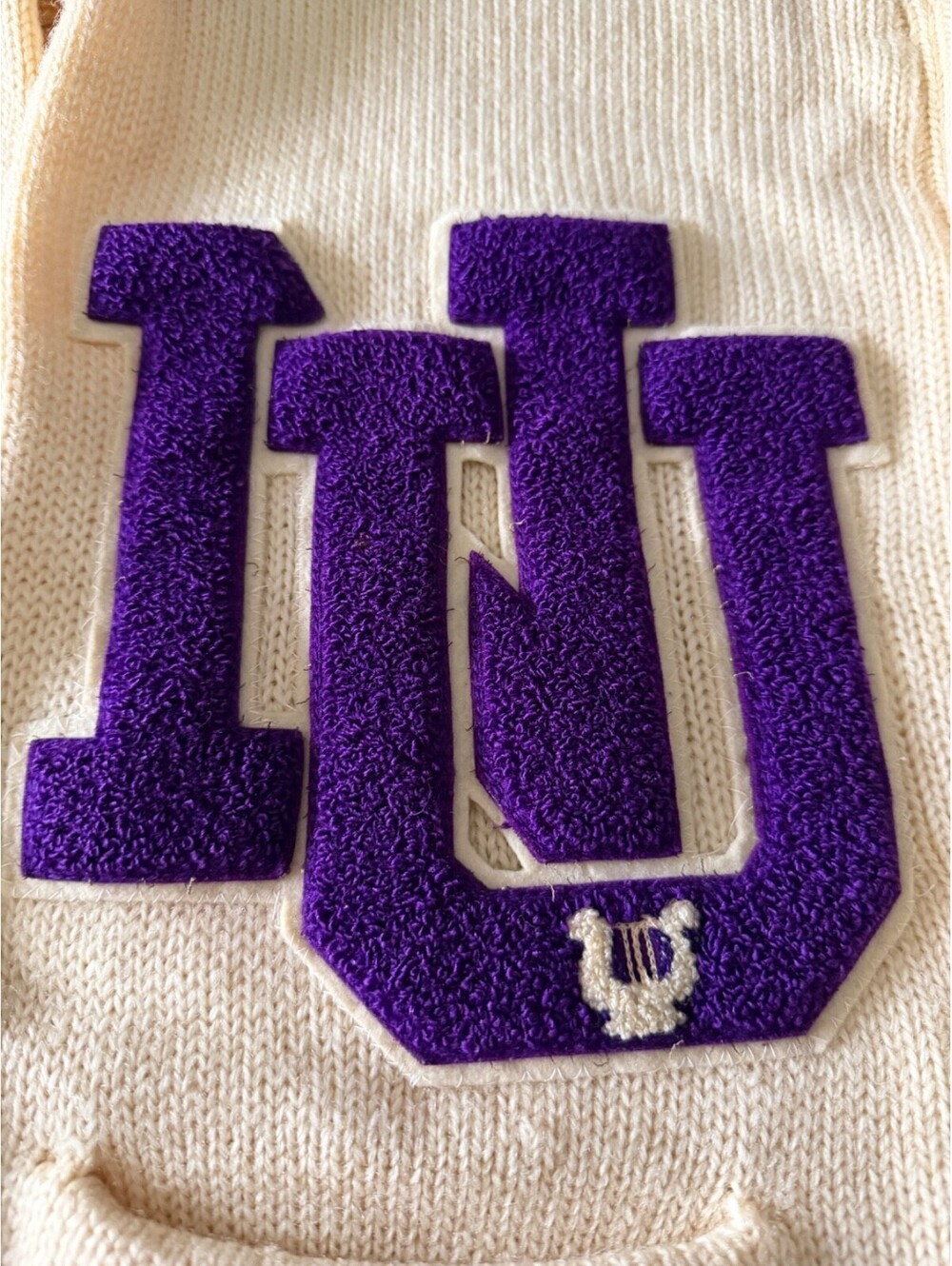 Northwestern Wildcats Letterman Style Cardigan Sweater Mens L Wool Vintage 50's